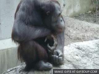 Risque Realities: Unveiling The Strangest NSFW Facts