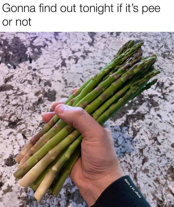 nsfw memes for grownups 34 pics 2.html - 34 HD Photos | Premium Gallery 2024