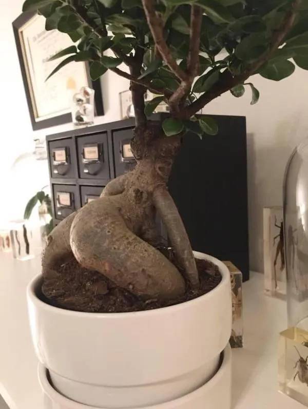 nsfw memes for grownups 34 pics 2.html - 34 HD Photos | Premium Gallery 2024