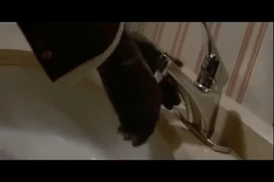 Bedroom Etiquette: Navigating Sexual Common Courtesy