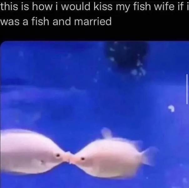 Flirty Memes To Spice Up Your Messages