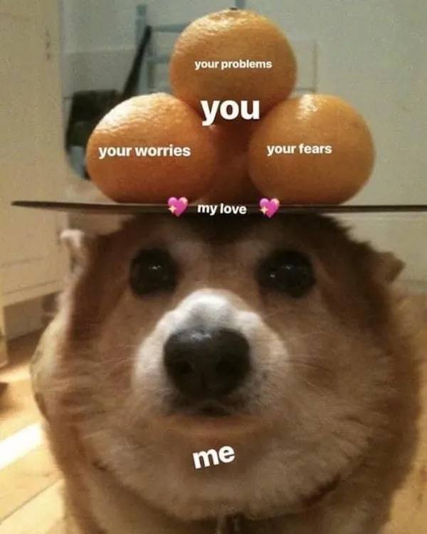 Flirty Memes To Spice Up Your Messages