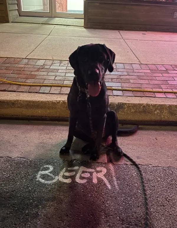 cheers to everyone 42 pics 5 gifs 43.html - 42 HD GIF | Premium Gallery 2024