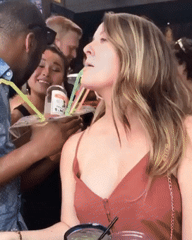 cheers to everyone 42 pics 5 gifs 43.html - 42 HD GIF | Premium Gallery 2024