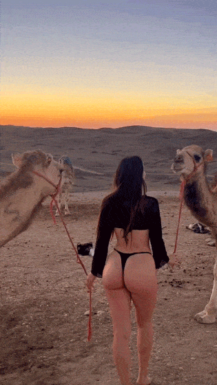 hot girls are here for you 42 gifs 1.html - 1 HD GIF | Premium Gallery 2024