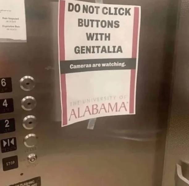 hold on a damn minute 26 pics 7.html - 26 HD Photos | Premium Gallery 2024