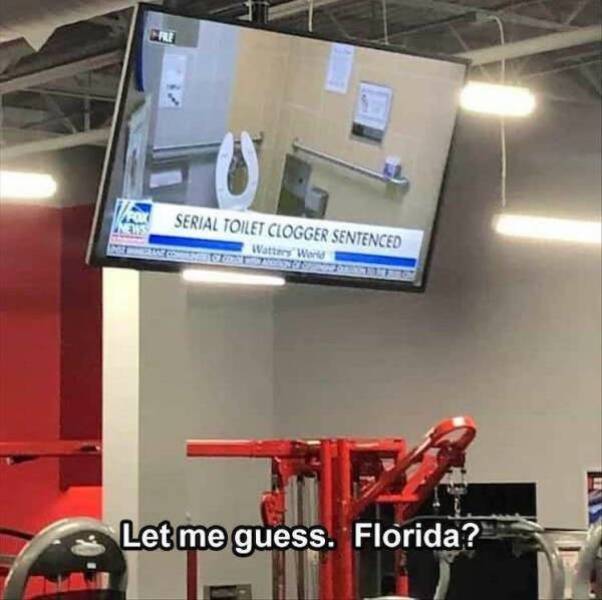 dirty minds only 37 pics 1 gif 14.html - 37 HD GIF | Premium Gallery 2024