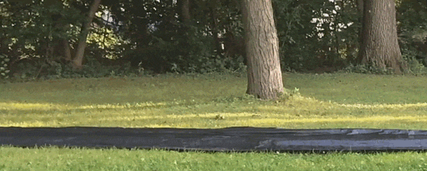 Debunked Desires: Unraveling Long-Held Sex Myths