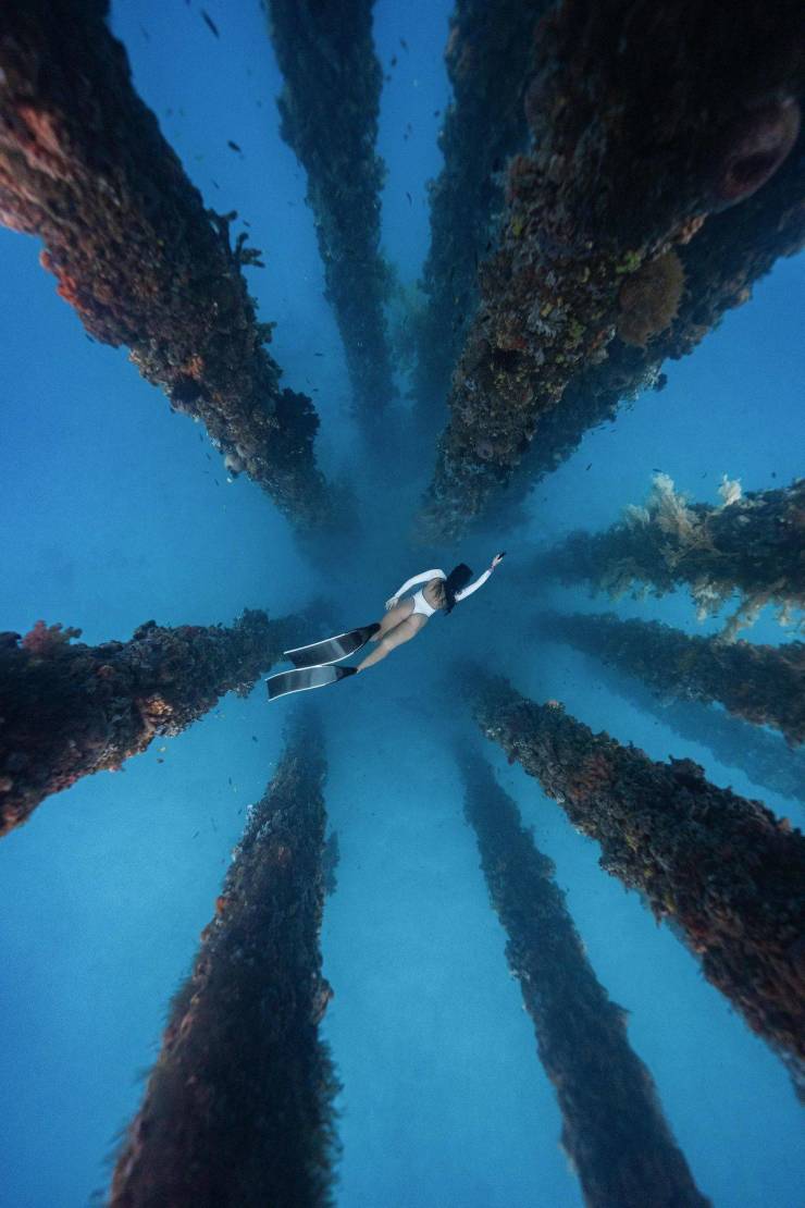 grownup corner 46 pics 20.html - 46 HD Photos | Premium Gallery 2024