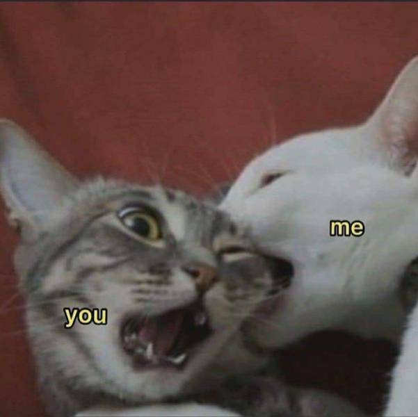 flirty memes to spice up your messages 33 pics 4.html - 33 HD Photos | Premium Gallery 2024