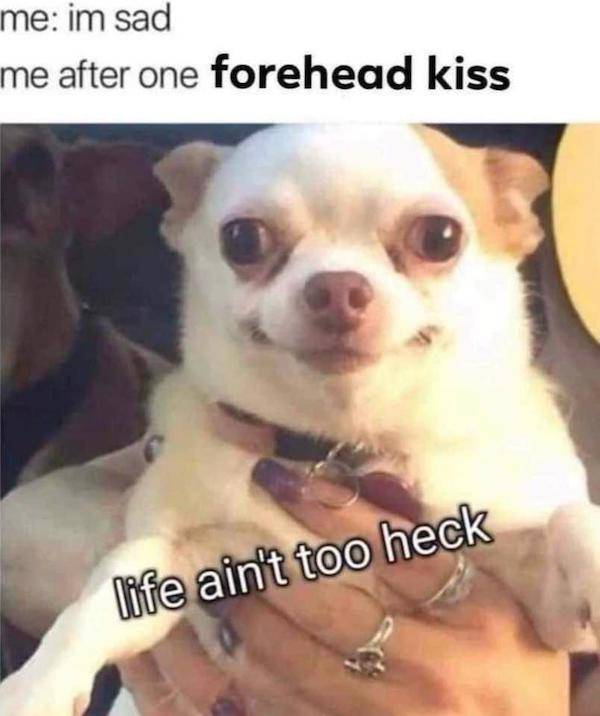 flirty memes to spice up your messages 33 pics 4.html - 33 HD Photos | Premium Gallery 2024