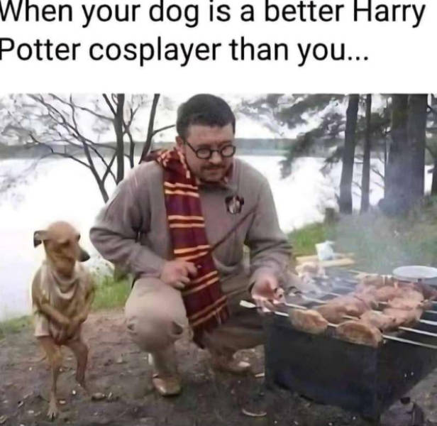 Hold On A Damn Minute!