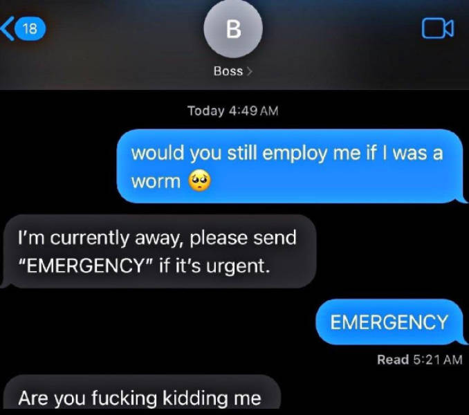 Hold On A Damn Minute!