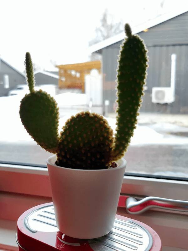 dirty minds only 49 pics 3 gifs 3.html - 49 HD GIF | Premium Gallery 2024