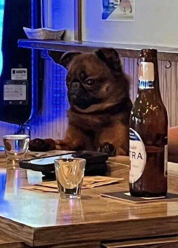 drinking time 42 pics 6 gifs 5.html - 42 HD GIF | Premium Gallery 2024