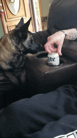drinking time 42 pics 6 gifs 5.html - 42 HD GIF | Premium Gallery 2024
