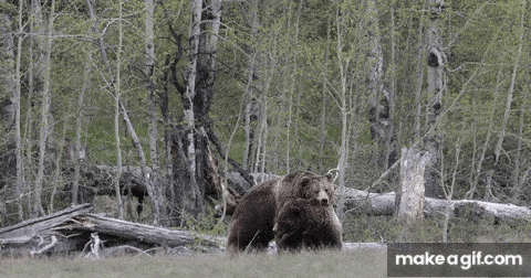 Exploring Intriguing Facts About Oral Sex