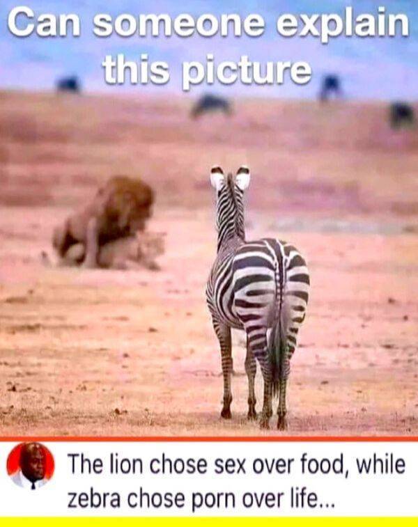 nsfw memes to add some spice to your life 72 pics 3.html - 72 HD Photos | Premium Gallery 2024