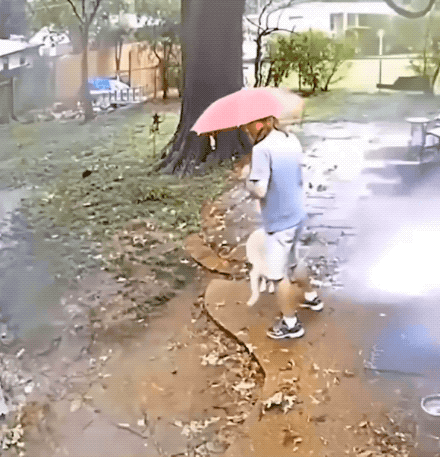 almost dead 32 gifs 7.html - 1 HD GIF | Premium Gallery 2024