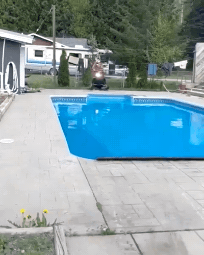 almost dead 32 gifs 7.html - 1 HD GIF | Premium Gallery 2024