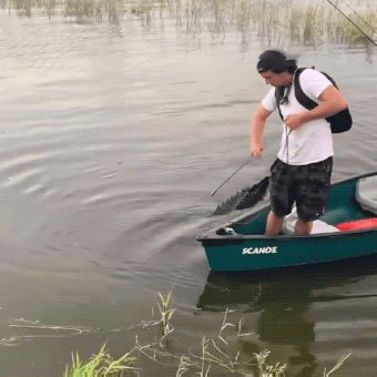 almost dead 32 gifs 7.html - 1 HD GIF | Premium Gallery 2024