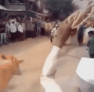 almost dead 32 gifs 7.html - 1 HD GIF | Premium Gallery 2024