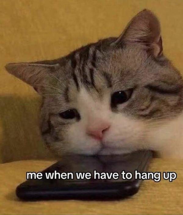 flirty memes to spice up your messages 33 pics 17.html - 33 HD Photos | Premium Gallery 2024