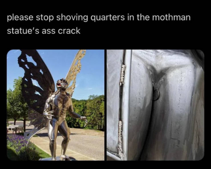 Hold On A Damn Minute!