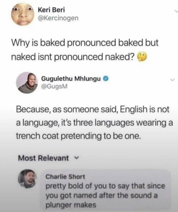 Hold On A Damn Minute!