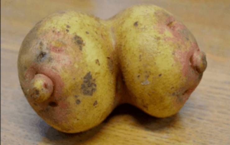 Everything Looks Like Boobs!