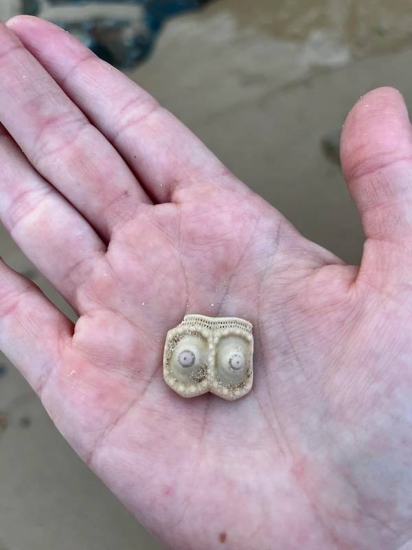 Everything Looks Like Boobs!