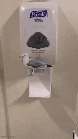 dirty mind come here 39 pics 2 gifs 8.html - 39 HD GIF | Premium Gallery 2024