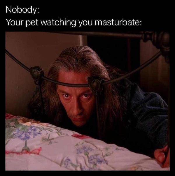 nsfw memes for grownups 33 pics 4.html - 33 HD Photos | Premium Gallery 2024