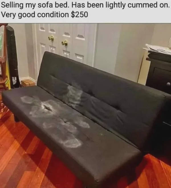 Hold On A Damn Minute!