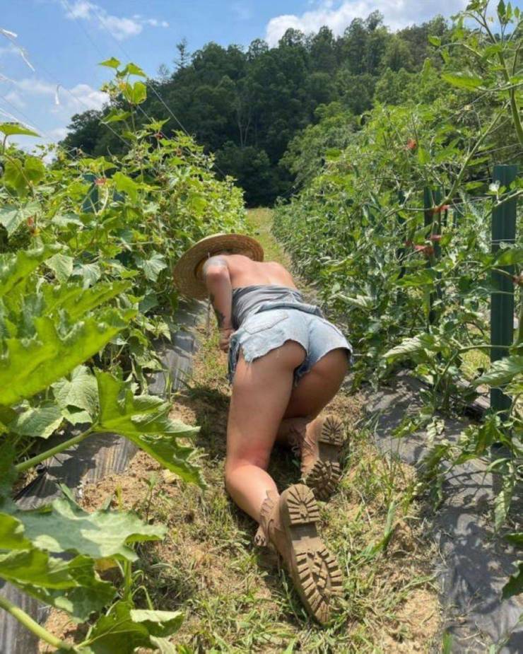 grownup corner 54 pics 8.html - 54 HD Photos | Premium Gallery 2024