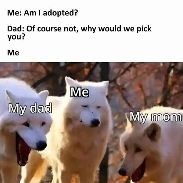 dirty minds are welcome 41 pics 4.html - 41 HD Photos | Premium Gallery 2024