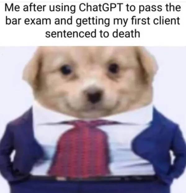 Hold On A Damn Minute!