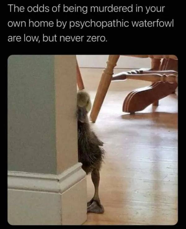 Dirty Minds Are Welcome!