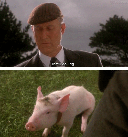 Decent Things To Say After Sex