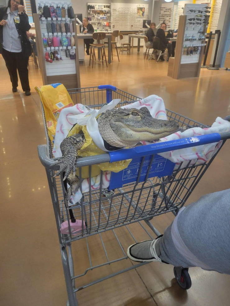 walmart customers are wild 26 pics 5 gifs 7.html - 26 HD GIF | Premium Gallery 2024