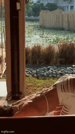 hot girls are here for you 33 gifs 2.html - 1 HD GIF | Premium Gallery 2024