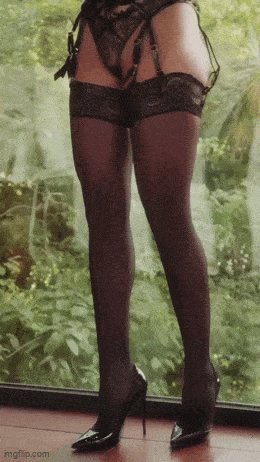 hot girls are here for you 33 gifs 2.html - 1 HD GIF | Premium Gallery 2024