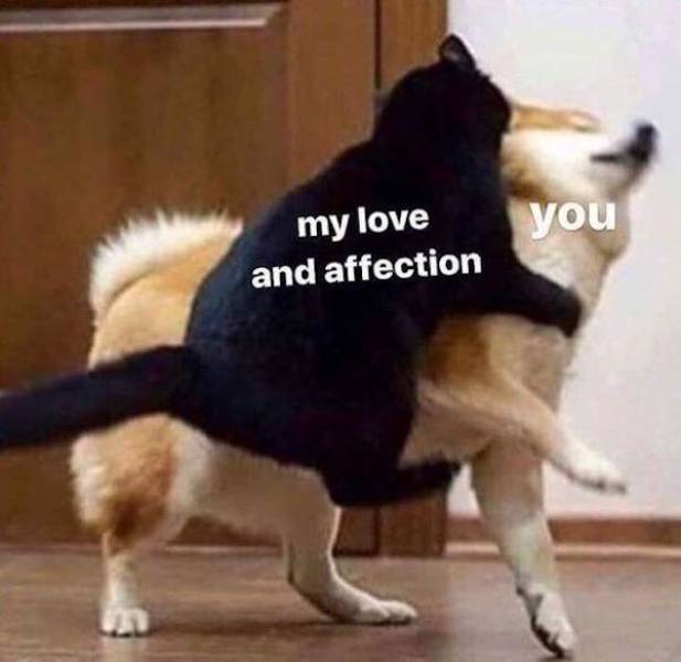 flirty memes to spice up your messages 31 pics 16.html - 31 HD Photos | Premium Gallery 2024