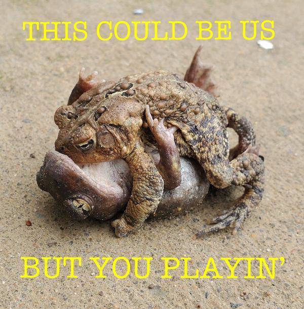 Flirty Memes To Spice Up Your Messages