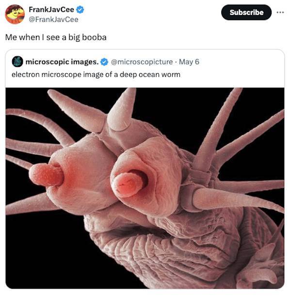 dirty minds are welcome 37 pics 2 gifs 14.html - 37 HD GIF | Premium Gallery 2024