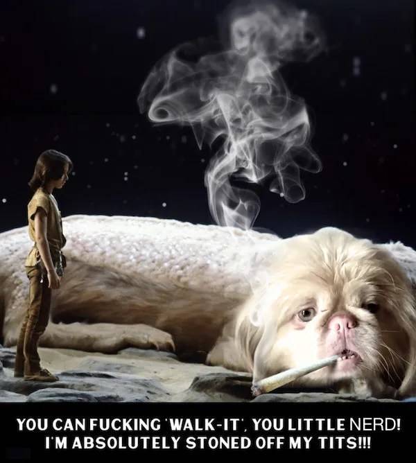 PG-13 Memes That Push The Boundaries