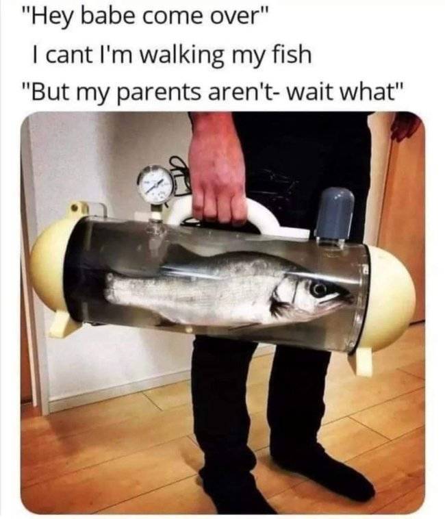 pg13 memes that push the boundaries 45 pics 23.html - 45 HD Photos | Premium Gallery 2024