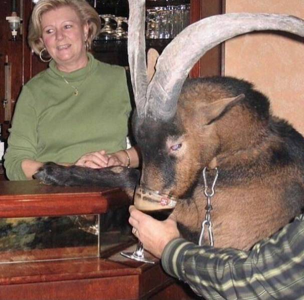 drinking never ends 39 pics 2 gifs 29.html - 39 HD GIF | Premium Gallery 2024