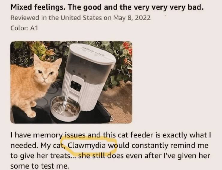 dirty minds only 49 pics 21.html - 49 HD Photos | Premium Gallery 2024