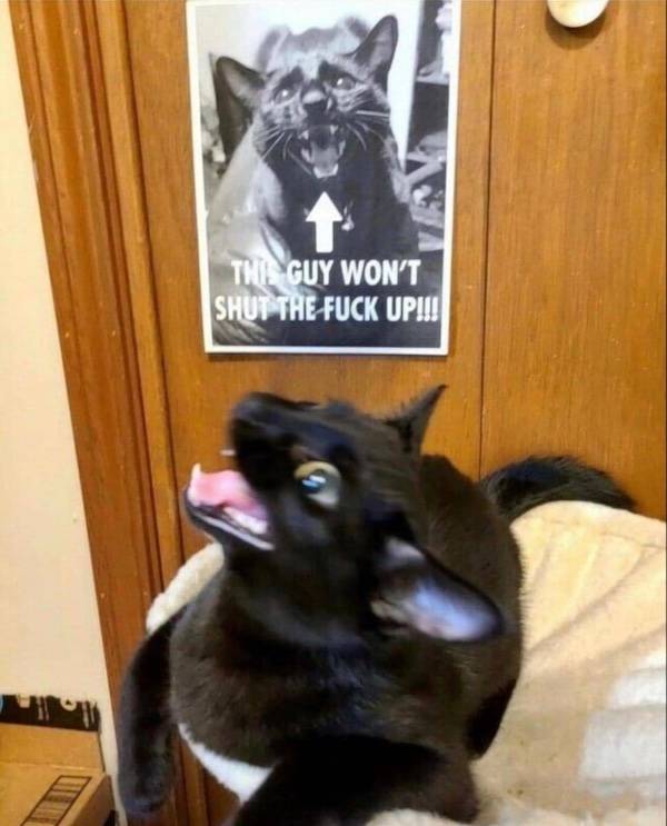 dirty minds only 49 pics 21.html - 49 HD Photos | Premium Gallery 2024